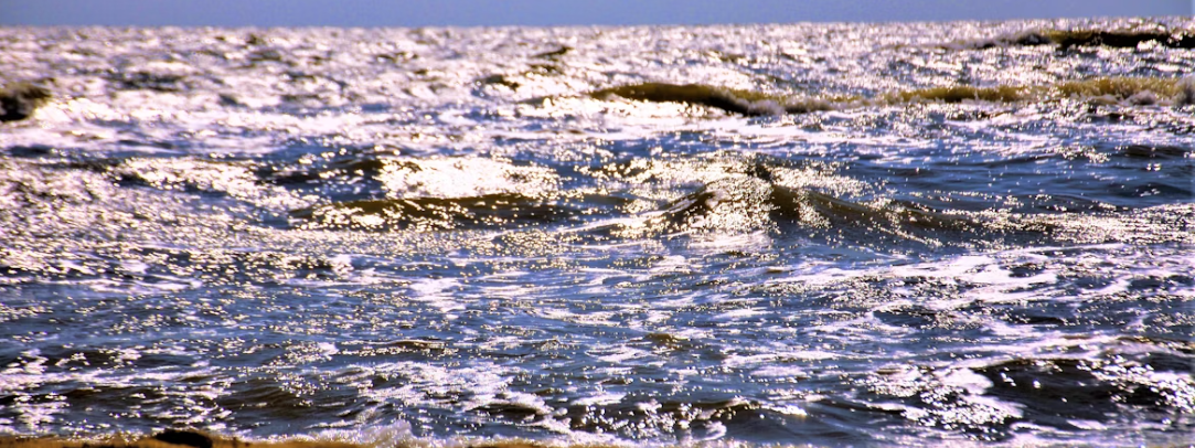 South China Sea marine heatwaves split into two types, with ocean dynamics playing a surprising role