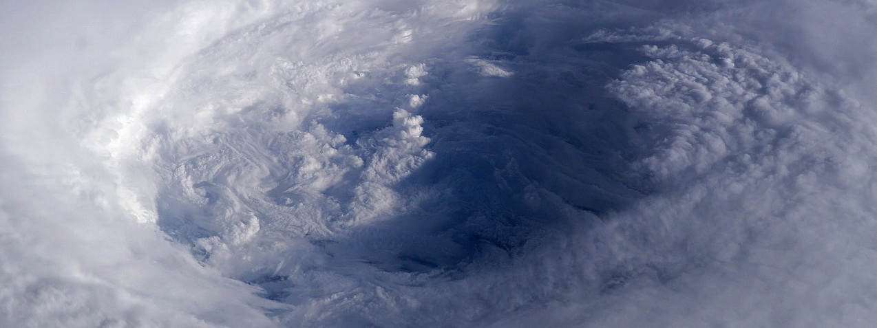 Interpretable deep learning network significantly improves tropical cyclone intensity forecast accuracy