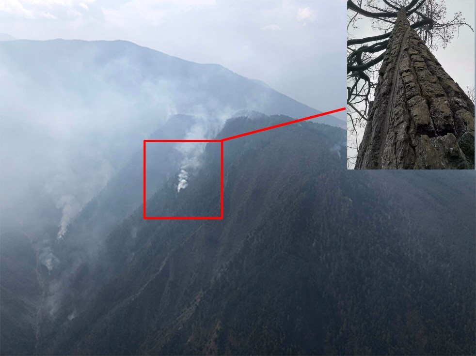 Weak lightning in developing thunderstorms triggers deadly wildfire