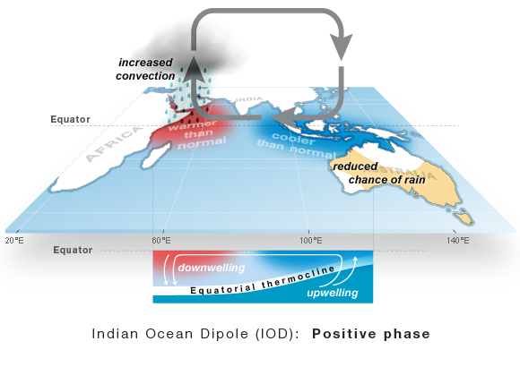 Summer predictability barrier phenomenon of Indian Ocean Dipole events