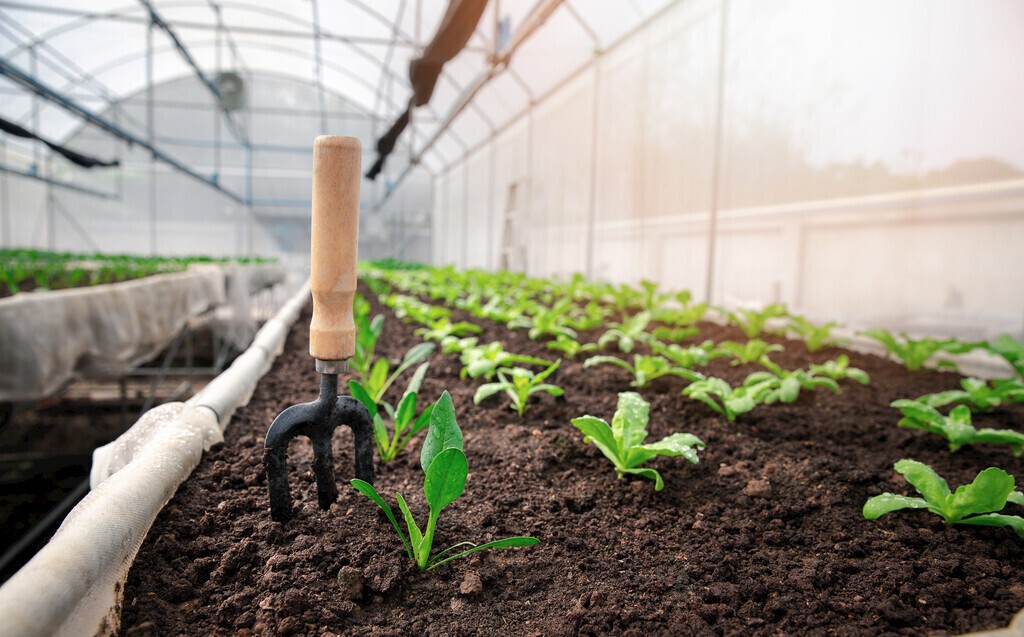Soil vapor transport improves soil moisture simulations in drylands