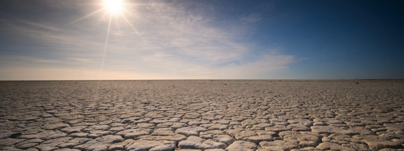 Two Distinct Regional Drivers of the Intensification of Concurrent Hot and Dry Extremes over China